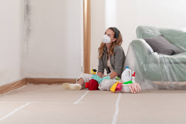 Reliable Mold Remediation contractor in Swanton, MD by 24 Hour Mold Removal